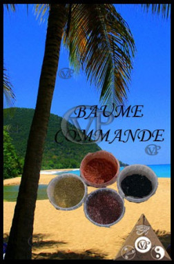 BAUME COMMANDE     (PBH007)
